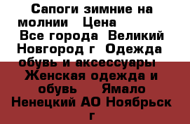 Сапоги зимние на молнии › Цена ­ 5 900 - Все города, Великий Новгород г. Одежда, обувь и аксессуары » Женская одежда и обувь   . Ямало-Ненецкий АО,Ноябрьск г.